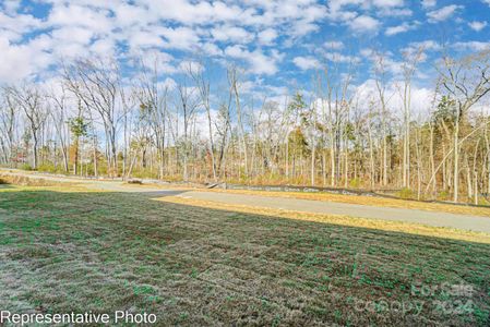 New construction Townhouse house 4119 Black Court, Unit 168, Harrisburg, NC 28075 - photo 36 36