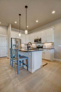 New construction Townhouse house 3425 Triano Creek Dr, Unit 101, Loveland, CO 80538 null- photo 11 11