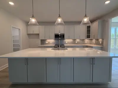 New construction Single-Family house 43 N Bandwheel Wy, Hampstead, NC 28443 plan Armstrong - image 9