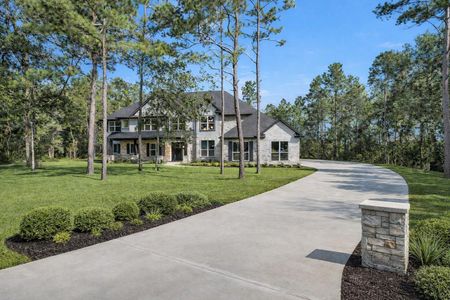 New construction Single-Family house 8604 Trinity Pines Ct, Montgomery, TX 77316 - image