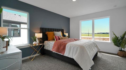 Westland Ranch 60' Homesites by D.R. Horton in League City - image 17