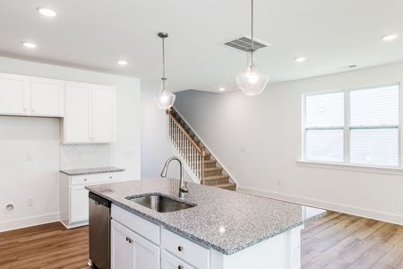 New construction Single-Family house 27 Cypress Moss Ct, Lillington, NC 27546 plan Summit - image 8