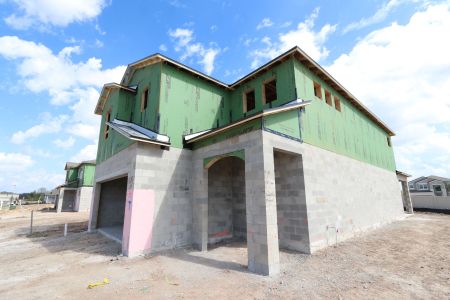 New construction Single-Family house 3070 Adams Cross Dr, Zephyrhills, FL 33540 Castellana- photo 20 20