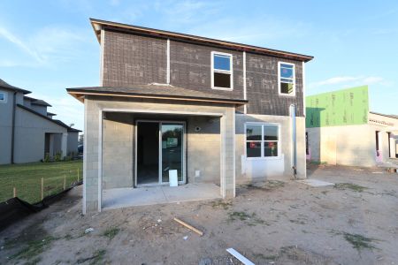 New construction Single-Family house 2580 Sunny Pebble Loop, Zephyrhills, FL 33540 Castellana- photo 47 47