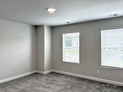 New construction Single-Family house 121 Rock Cress Trl, Greenville, SC 29607 plan The Princeton A - image 20