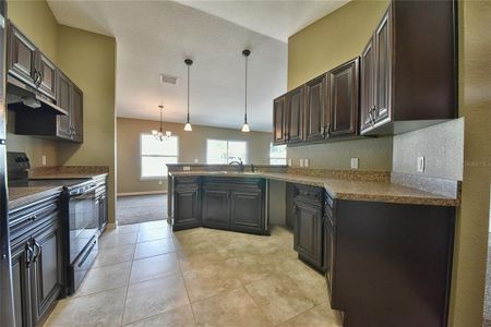 New construction Single-Family house 3039 Sw Viburnum Rd, Dunnellon, FL 34431 null- photo 9 9