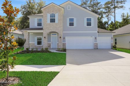 New construction Single-Family house 2248 Brannings Sawmill Ct, Middleburg, FL 32068 plan Wellington - image
