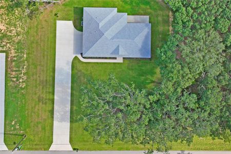 New construction Single-Family house 279 W Pearson St, Hernando, FL 34442 - image 13