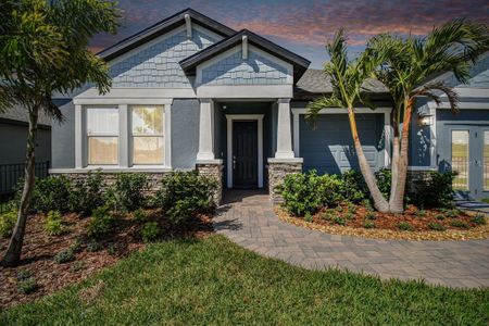 New construction Single-Family house 8815 Mugnai Street, Riverview, FL 33578 Charlotte- photo 0