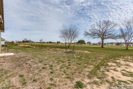 New construction Single-Family house 13214 Dutra Rd, San Antonio, TX 78221 Collier- photo 13 13