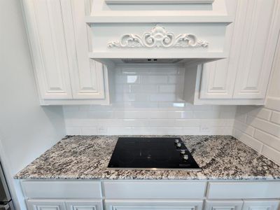 New construction Single-Family house 376 Willie'S Ct, Whitesboro, TX 76273 - image 10