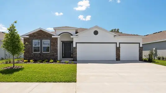 New construction Single-Family house 3181 Canopy Oak Blvd, Wildwood, FL 34785 plan Destin - image