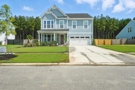 New construction Single-Family house 1351 Homecoming Blvd, Ravenel, SC 29470 - image
