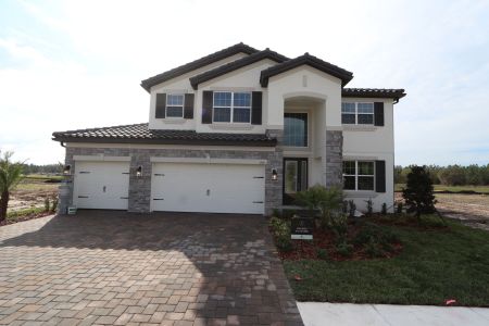 New construction Single-Family house 1787 Drummond Pt, Zephyrhills, FL 33541 Sonoma II- photo 119 119