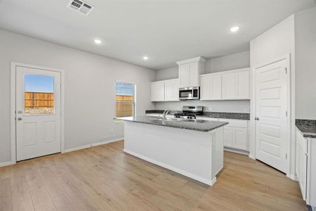 New construction Single-Family house 528 Stone Hollow Dr, Van Alstyne, TX 75495 - image 6