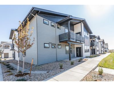 New construction Multi-Family house 2120 Falling Leaf Drive, Unit 5, Windsor, CO 80550 Vanderbilt- photo 0