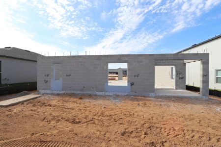 New construction Single-Family house 12294 Hilltop Farms Dr, Dade City, FL 33525 Malibu- photo 12 12