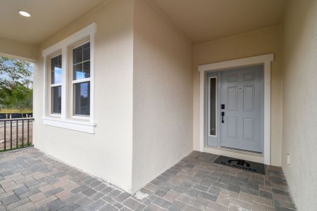 New construction Single-Family house 20219 Oriana Loop, Land O' Lakes, FL 34638 Corina  III- photo 123 123