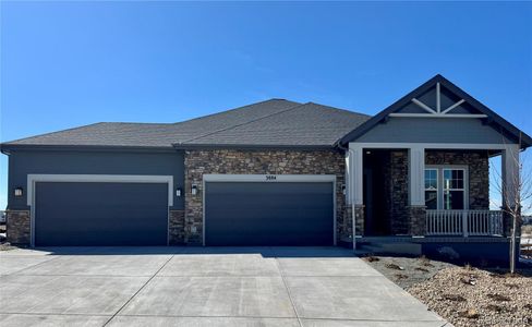 New construction Single-Family house 3884 Freestone Pt, Castle Rock, CO 80108 null- photo 22 22