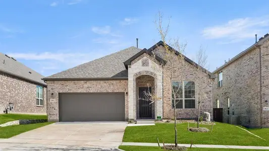 New construction Single-Family house 2377 Rams Horn Dr, Waxahachie, TX 75167 plan Cottonwood II - image