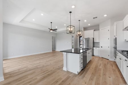 New construction Single-Family house 204 Azalea Aly, Castroville, TX 78009 - image 8