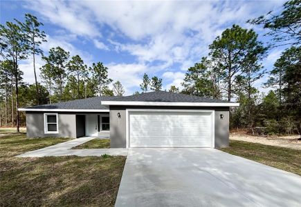 New construction Single-Family house 18895 Sw 47Th St, Dunnellon, FL 34432 - image