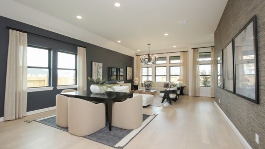 New construction Single-Family house 1703 Seekat Dr, New Braunfels, TX 78132 plan Willow - image 13