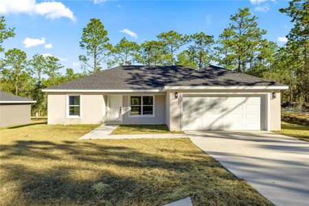 New construction Single-Family house 24125 Nw Foxglove Ln, Dunnellon, FL 34431 - image
