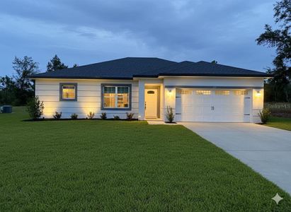 New construction Single-Family house 373 Amberjack Ct, Kissimmee, FL 34759 - image