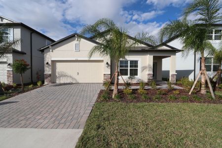 New construction Single-Family house 4763 Beachrose Way, Lakeland, FL 33811 Picasso- photo 23 23