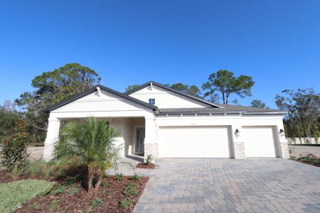 New construction Single-Family house 20219 Oriana Loop, Land O' Lakes, FL 34638 Corina  III- photo 62 62