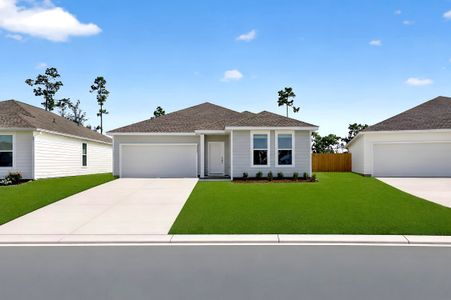 New construction Single-Family house 3933 Alwyn Cashe Ave, Panama City, FL 32404 plan Walsh - image