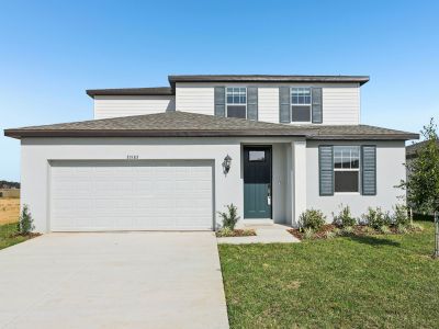 New construction Single-Family house 31583 Wild Grape Ln, Brooksville, FL 34602 plan Orchid - image