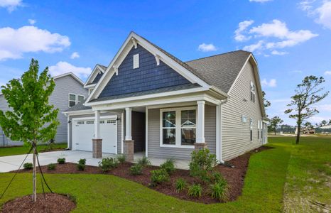 New construction Single-Family house 1157 Halter Pl, Calabash, NC 28467 plan The Shorebreak - image 14