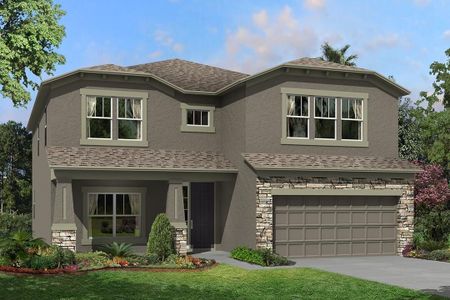 New construction Single-Family house 10805 Rolling Moss Road, Tampa, FL 33647 - photo 0