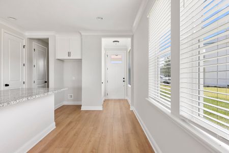 New construction Single-Family house 12193 Mariposa Ave, Jacksonville, FL 32256 plan Venice - image 16