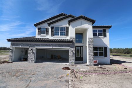 New construction Single-Family house 1787 Drummond Pt, Zephyrhills, FL 33541 Sonoma II- photo 104 104