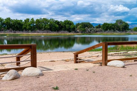 New construction Single-Family house 2978 Fleet Dr, Unit 3, Fort Collins, CO 80524 plan Bloom - image 19