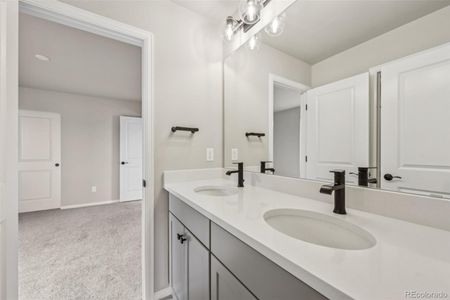 New construction Single-Family house 8779 Whiteclover St, Littleton, CO 80125 plan Plan 5 - image 6