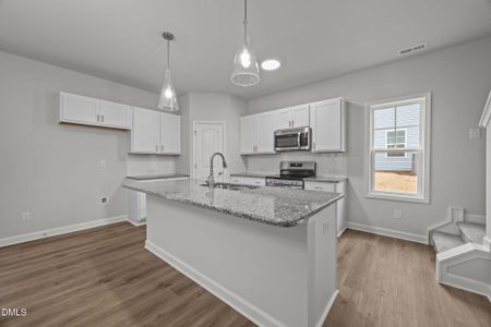 New construction Single-Family house 690 Huskuth Rd, Youngsville, NC 27596 - image 6