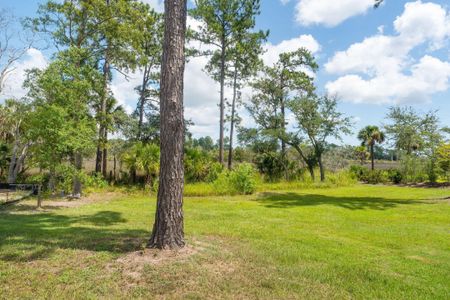 New construction Single-Family house 465 Lesesne Street, Charleston, SC 29492 - photo 34 34