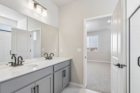 New construction Single-Family house 13788 Daffodil Wy, Parker, CO 80134 plan Denali - image 12