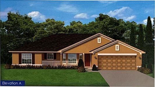 New construction Single-Family house 8664 Se 162Nd St, Summerfield, FL 34491 null- photo 0