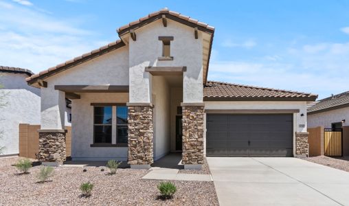 New construction Single-Family house 557 E Grayling Rd, Queen Creek, AZ 85140 plan Pasadena - image
