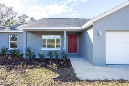 New construction Single-Family house 8900 Sw 138Th Ln, Ocala, FL 34473 - image