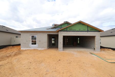 New construction Single-Family house 12263 Hilltop Farms Dr, Dade City, FL 33525 Sentinel- photo 26 26