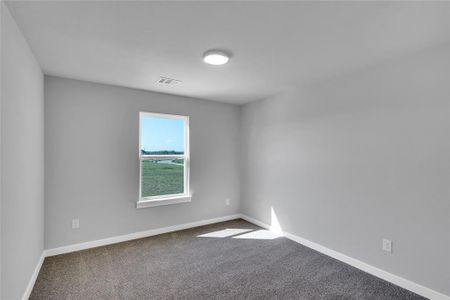 New construction Single-Family house 5064 Picasso Rd, Royse City, TX 75189 plan The Royal - image 19