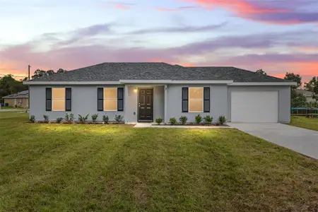 New construction Single-Family house 3 Oak Circle Pass, Ocala, FL 34472 - image