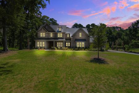 New construction Single-Family house 3820 Gnarled Oaks Ln, Johns Island, SC 29455 - image
