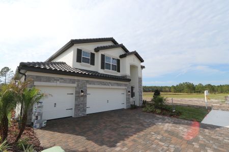 New construction Single-Family house 1787 Drummond Pt, Zephyrhills, FL 33541 Sonoma II- photo 120 120